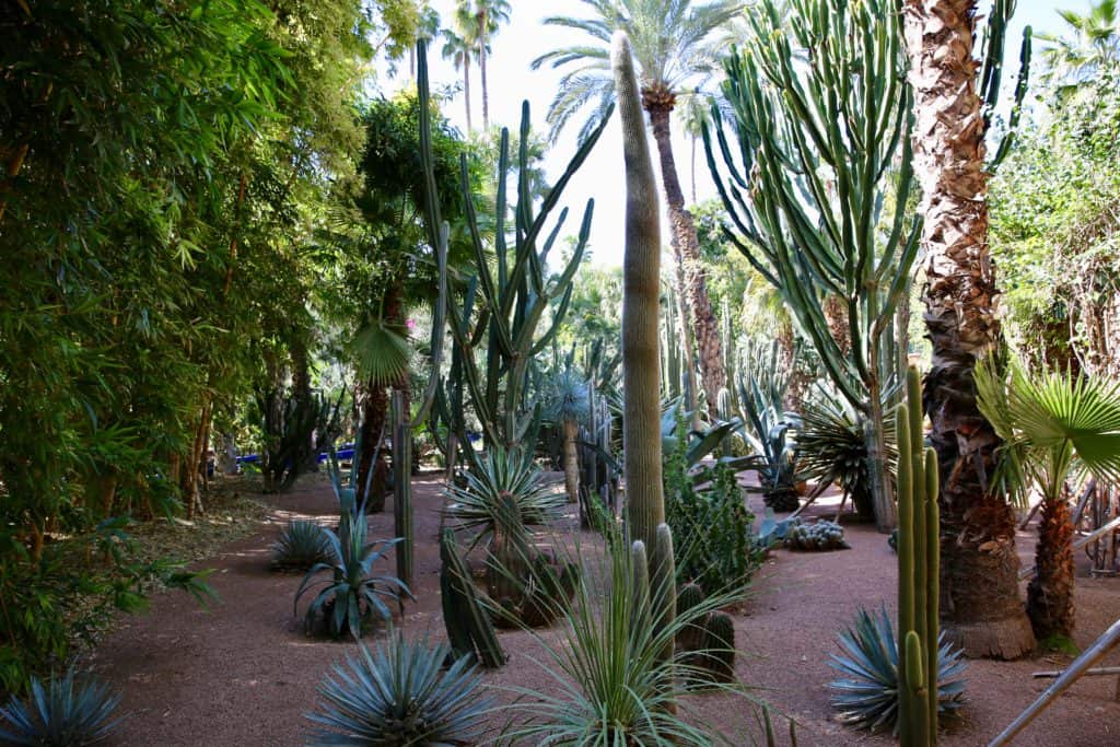 jardin Majorelle Marrakech